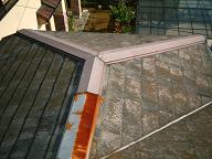 �R���j�A�����𕨔��̃T�r