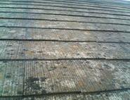 �R���j�A�������̂����E����